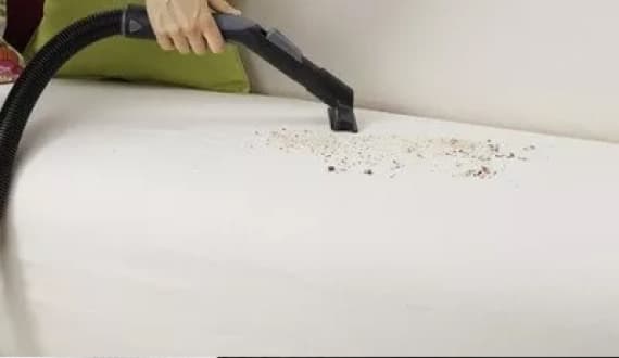Sofa Cleaning Prices